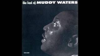 Muddy Waters - 20.Standing Around Crying