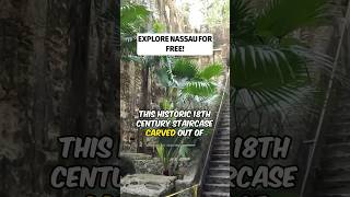 Top 5 Free and Low Cost Nassau Bahamas Shore Excursions | Budget Cruise Guide