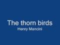 The thorn birds 