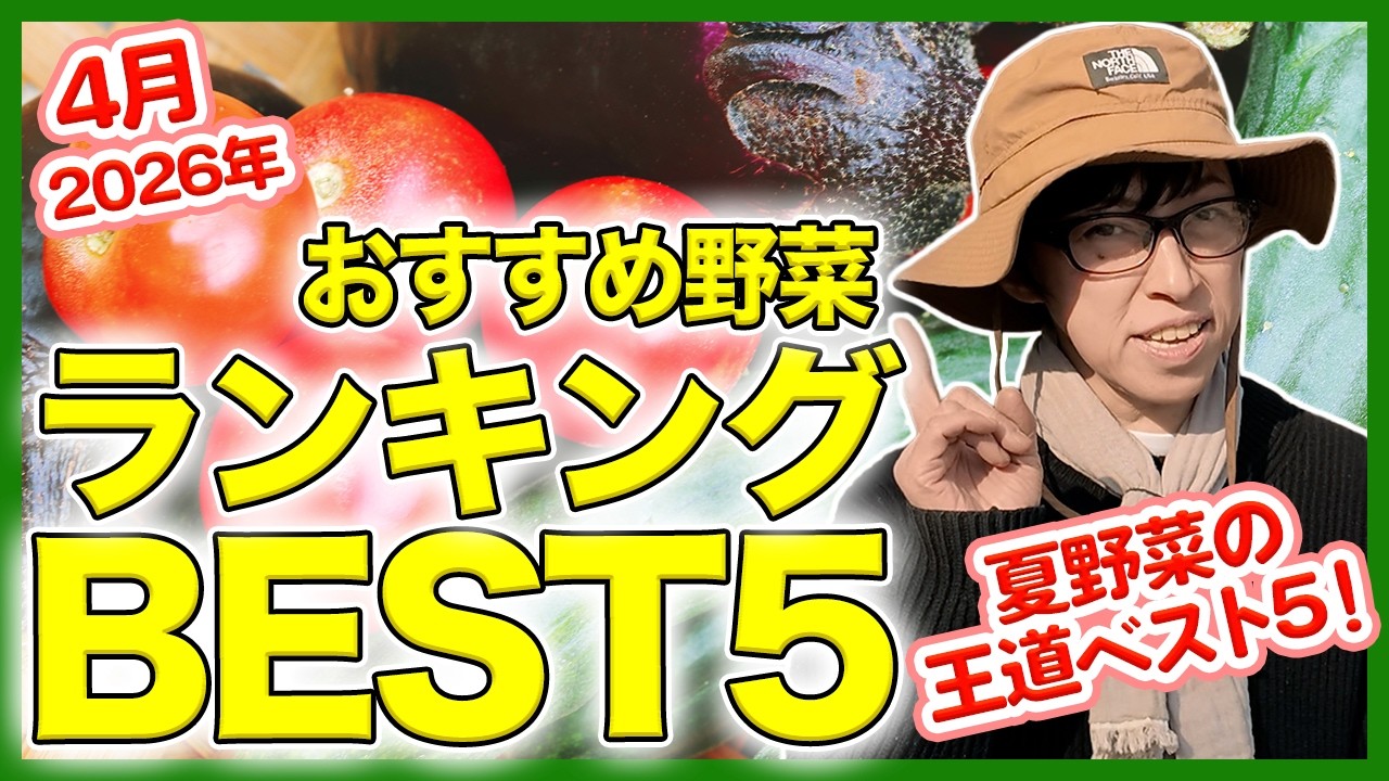 家庭菜園や農園の夏野菜栽培2026年4月おすすめ野菜ランキングBEST5！【農家直伝】