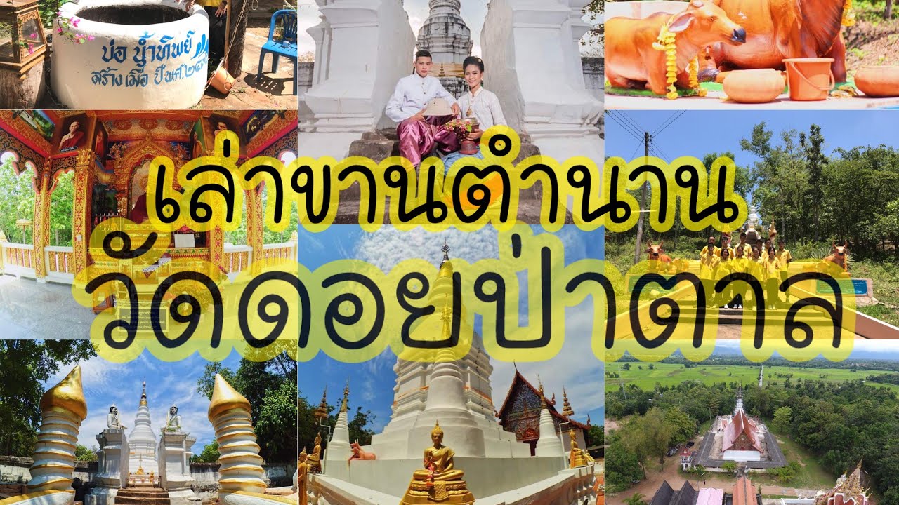 วัดดอยป่าตาล