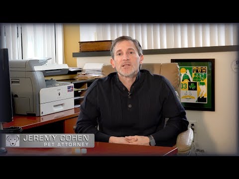 Boston Dog Lawyers - Customer Success Story