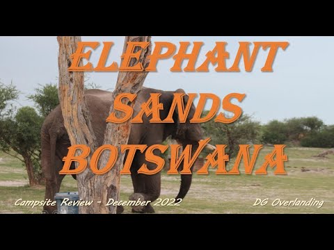 Campsite Review - Elephant Sands Lodge - Nata - Botswana. DG Overlanding