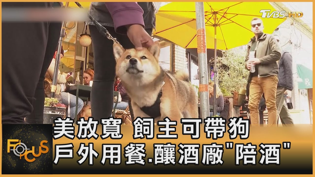 美放寬 飼主可帶狗戶外用餐.釀酒廠「陪酒」
