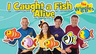 12345 Once I Caught A Fish Alive | One, Two, Three, Four, Five | Nursery Rhymes | The Wiggles