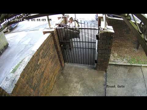 Adams House 2019-11-25 Package Thief