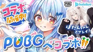 兎田ぺこら - 【PUBGモバイル】ぺこーら実装！？ぼたんちゃんとドン勝目指す！！！！！ぺこ！【兎田ぺこら/獅白ぼたん/ホロライブ】
