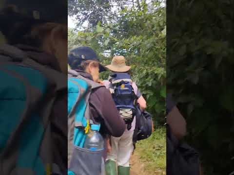 Uribe (Meta). Llanos Orientales. Quebrada Santa Rita. Viajando a mí finca. /j.l.d.n.m/ 🐎♏#