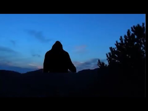 SASQUATCH     My First Experience Re Load