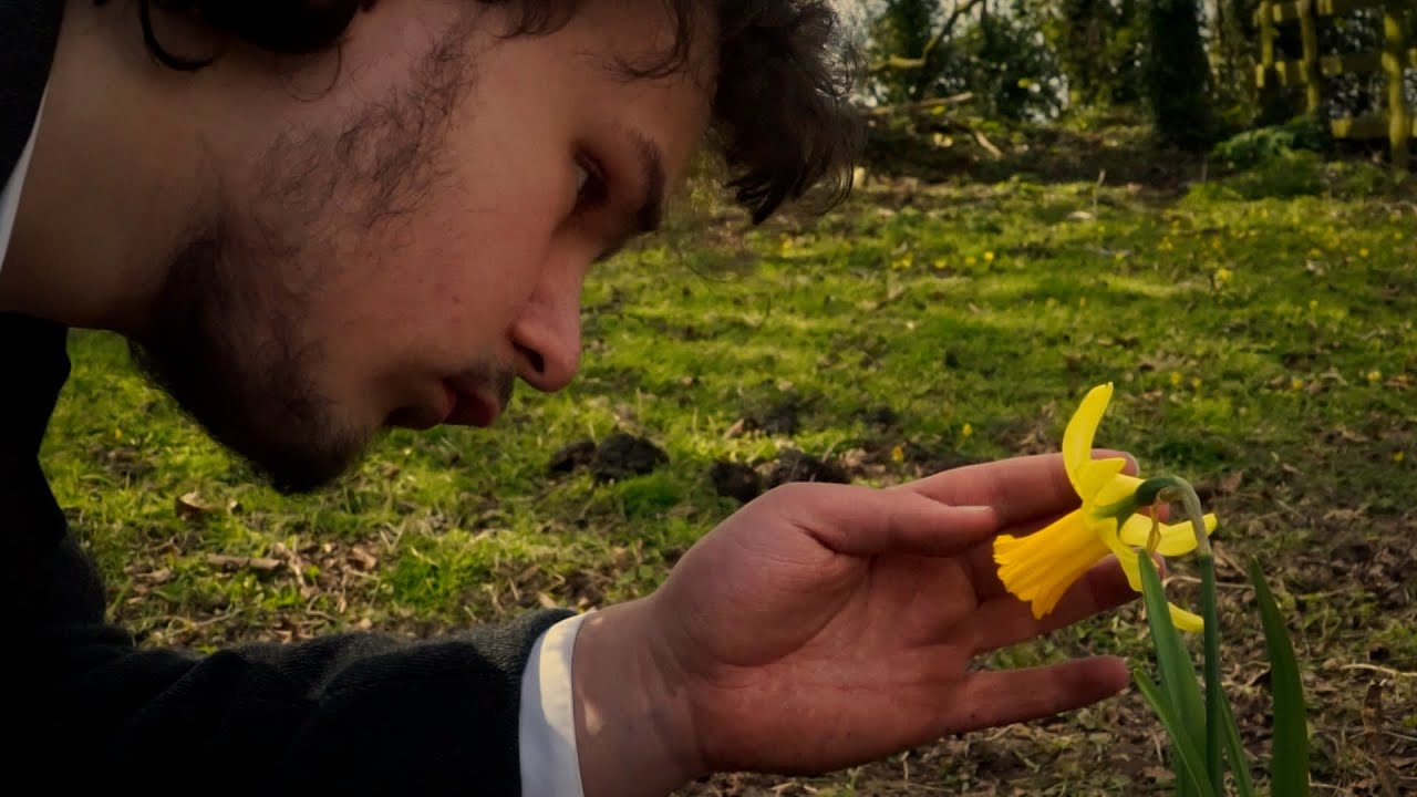 A Fanfare Of Yellow Trumpets - Short Film
