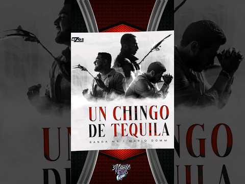 Gran colaboración entre Banda MS y Mario Domm #video #vídeoviral #viral #music #youtubeshorts