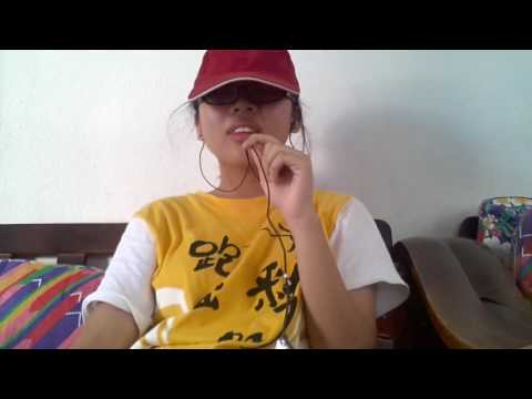 spring day bts cover by han