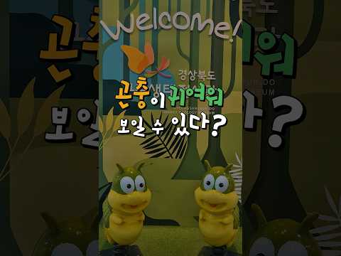 귀여운 곤충의 세계, 곤충생태전시관