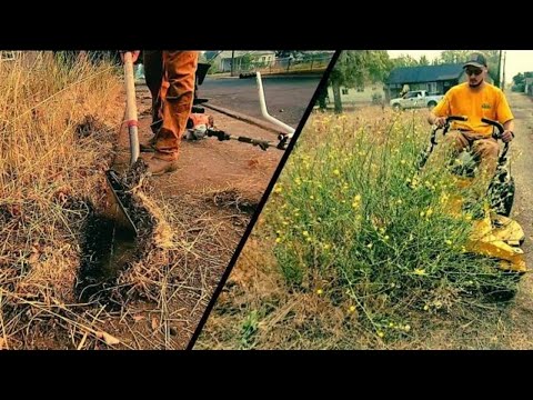 My First City Violation Cut | Overgrown Property Mowing [Neighbors Complained]