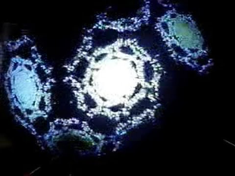 Our Analog Video Camera Feedback with CRT Experiment