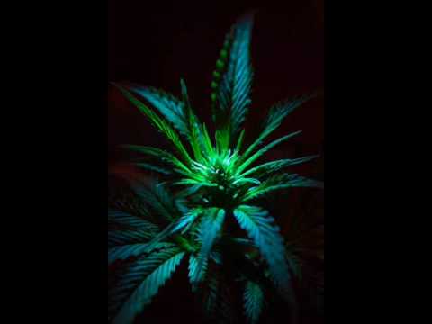 Eskimo Vs Mindfield - Theyre In Trouble Now