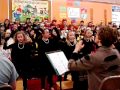 BUGZ Performance