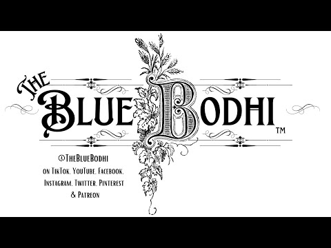 Four Thieves Oil Recipe