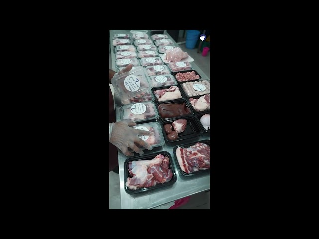 خروف حري الوزن 18 كيلو تقريباً