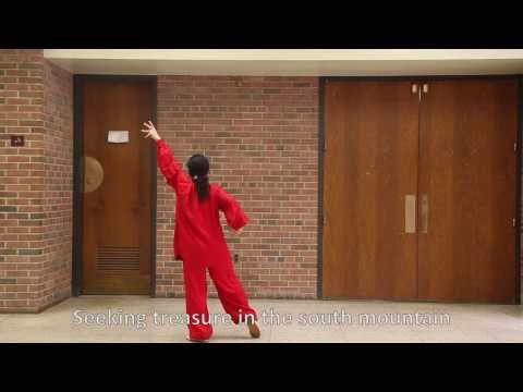 Swimming Dragon - Guifang Liu Back View Demonstration