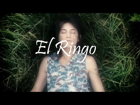 El Ringo - Babasónicos