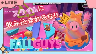 【FALLGUYS参加型】クラウンは目の前だ！スライムから逃げろ！【LIVE配信 6/28】