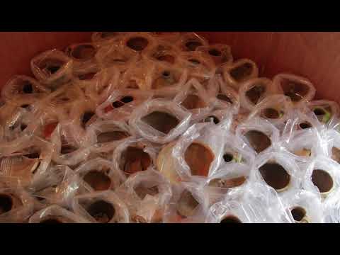 Żagań - prace archeologiczne Bartosz  Józwiak