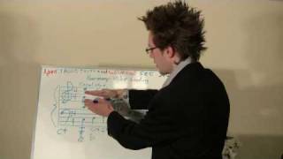 Harmony 101. Intro to harmony! Voice leading, choral writing.