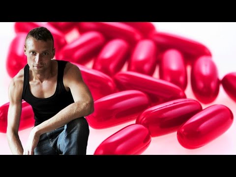 Jakie mięśnie pracują przy veloezde Muscle Jean-Claude Van Damme