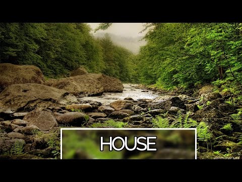 ▌House ▌Morgan Page ft. The Oddictions & Britt Daley - Running Wild (Borgeous Remix)