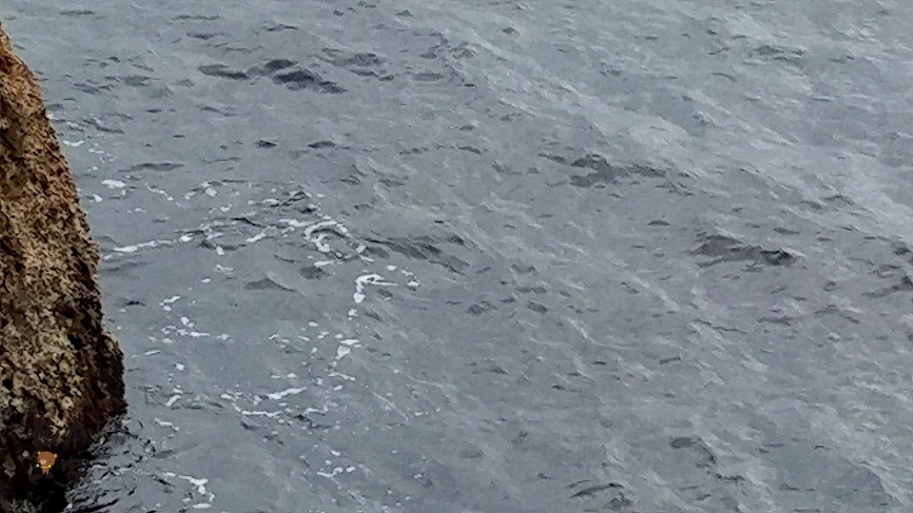 小琉球喜遇綠蠵龜|沙瑪基度假區