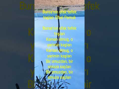 Bursa'nın ufak tefek taşları, Sibel Pamuk  #türkü #türkülersevdamız #folksongsjanapadgeete #folksong