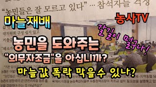 마늘재배, 농민을 도와주는 "의무자조금"을 아십니까? 마늘값 폭락 막을 수 있나? [농사TV]