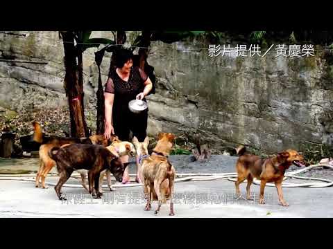 不放棄每一條生命 「狗來富」計畫