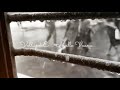 Varsham Movie Telugu Love WhatsApp Status Neetimullai Nannu Gille Song Prabhaas