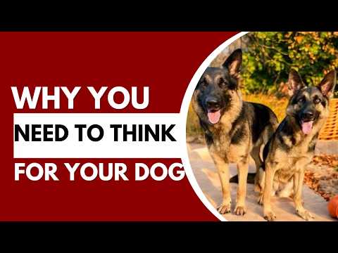 Training Video