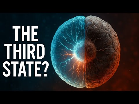 Scientists Confirm Cells May Live After Death — The Third State of Life