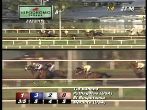 8VA CARRERA  DOMINGO 22 DE FEBRERO 2015 HPR