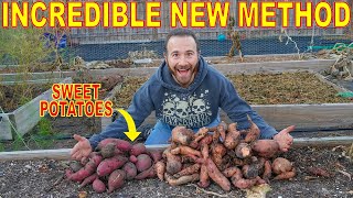 This REVOLUTIONARY Way Of Curing SWEET POTATOES Changes Everything!