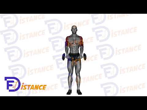 Élévation frontale debout avec haltères - Exercice Élévation frontale debout avec haltères en vidéo