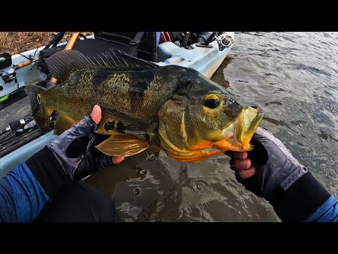 Um Privilégio Pesca Nesse Lago Corumbá 4 Goiás