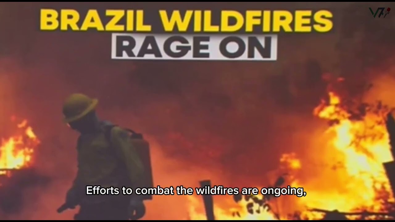 Fierce Wildfires Ravage Brazil's Pantanal Region
