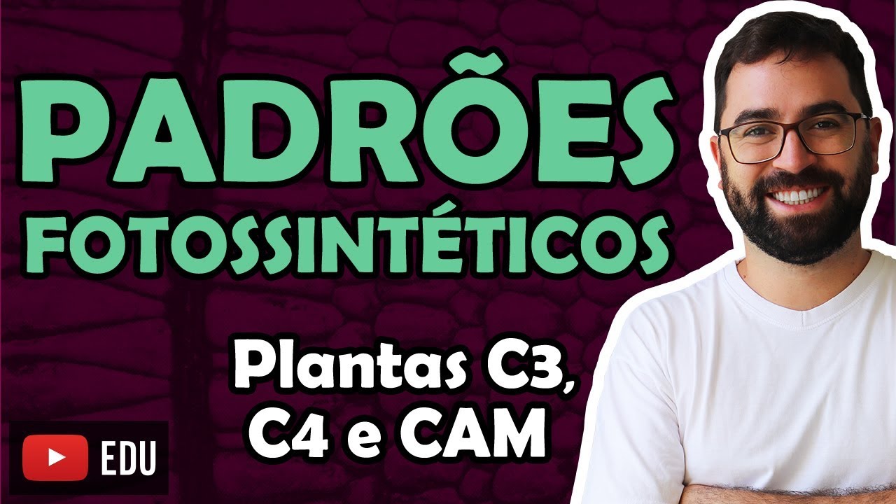 Padrões Fotossintéticos - Aula 28 - Módulo I: Biologia Celular | Prof. Guilherme