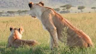 Oloololo Pride!! Kenya 2019 Pt 52