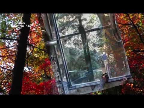 점박이와 거울 181125