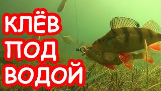 Блесна и мормышки для зимней рыбалки на окуня