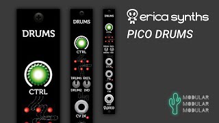 Video thumbnail for Erica Synths Pico DRUMS - factory sounds audio demo by modularmodularmodular