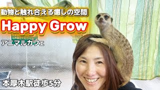 「本厚木」駅から5分で動物と触れ合える癒しの空間【Happy Grow】【アニマルカフェ】