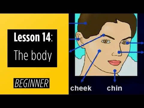 Beginner Levels - Lesson 14: The Body