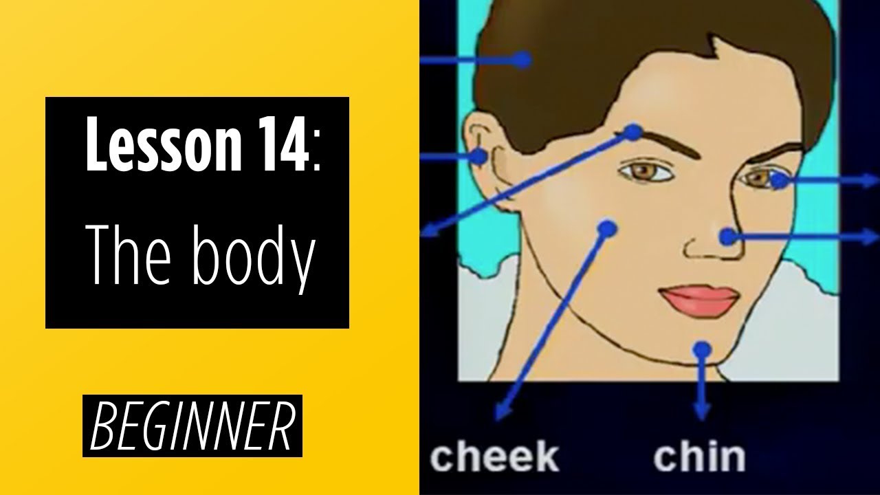Beginner levels - Lesson 14: The Body
